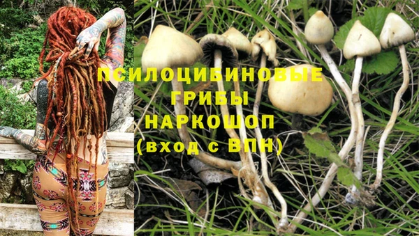 Альфа ПВП Остров